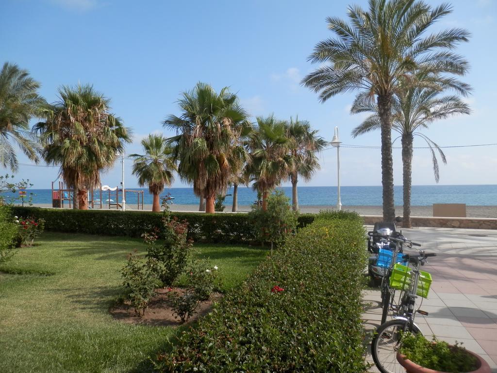 Toda Una Experiencia En La Costa Del Sol, A 100M De La Playa アルガロボ・コスタ エクステリア 写真
