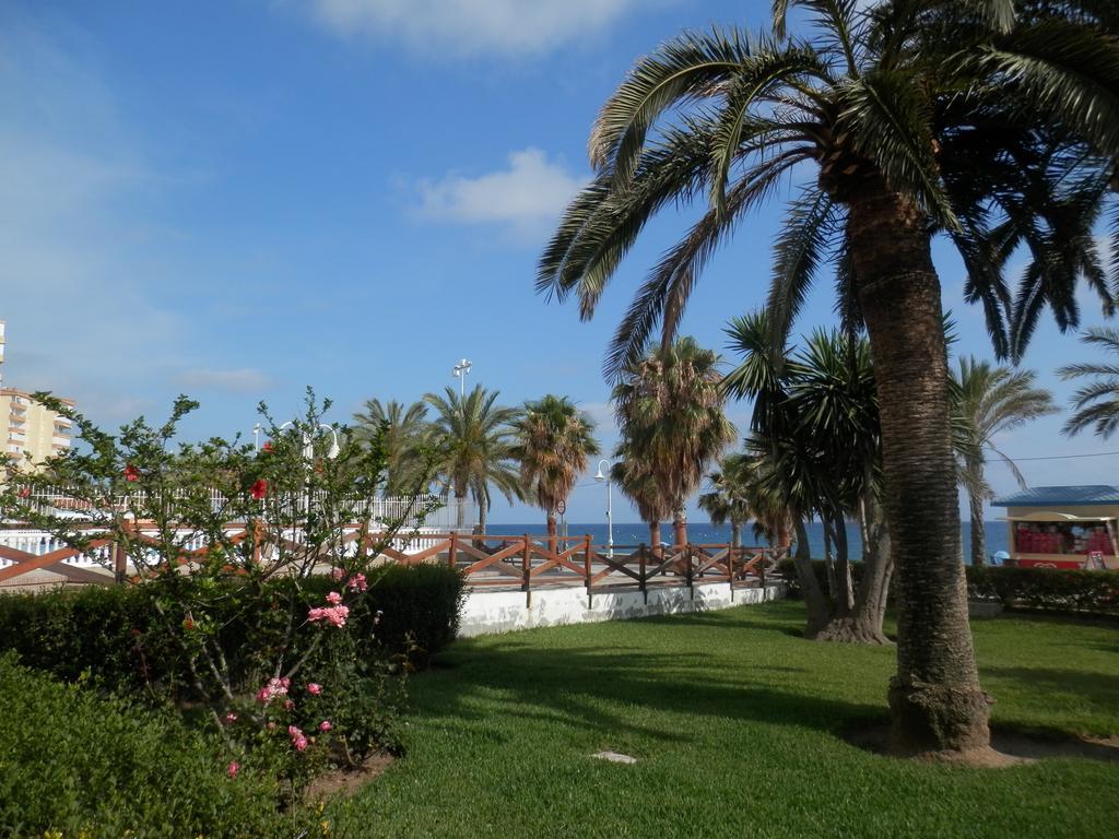 Toda Una Experiencia En La Costa Del Sol, A 100M De La Playa アルガロボ・コスタ エクステリア 写真