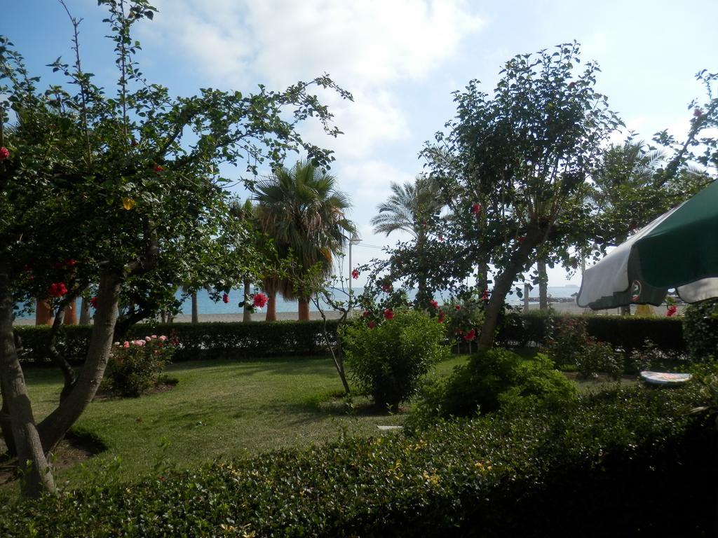 Toda Una Experiencia En La Costa Del Sol, A 100M De La Playa アルガロボ・コスタ エクステリア 写真